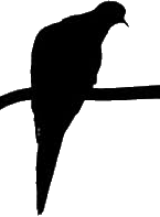 image of silhouette of doves